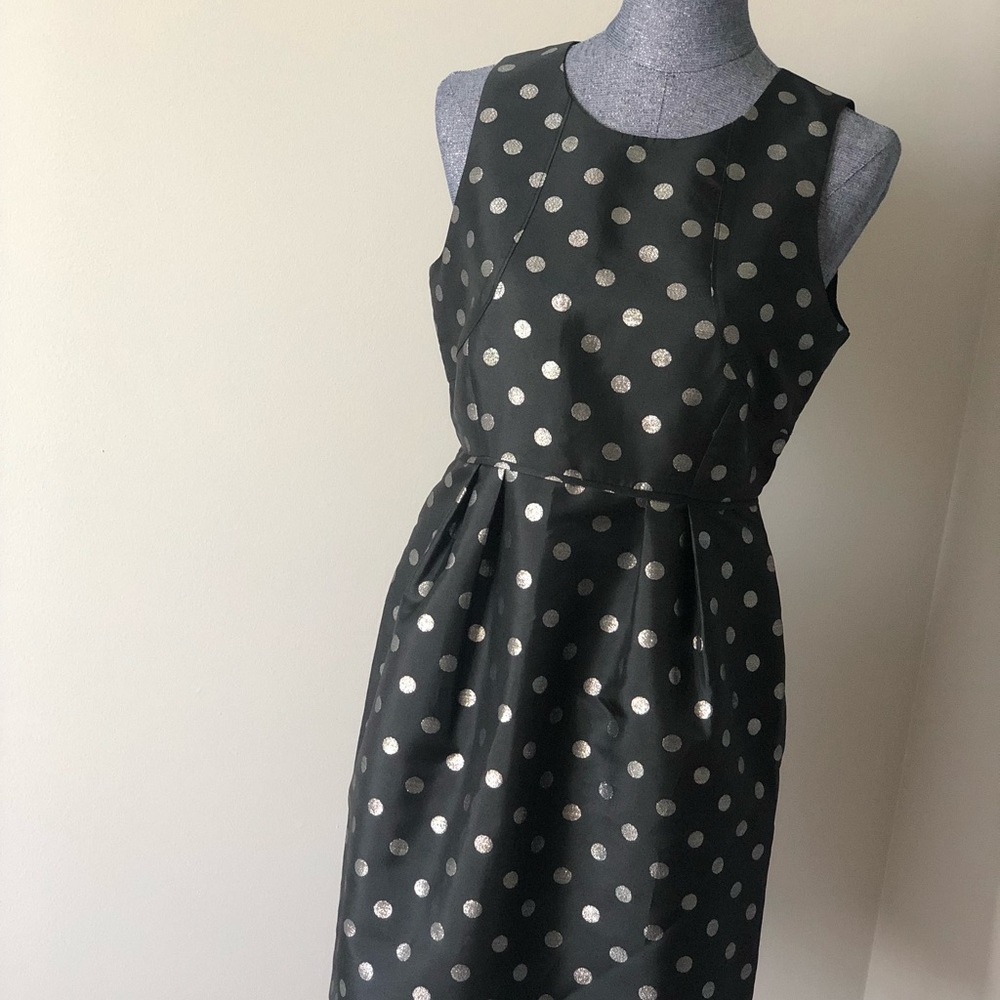 NWT J. Crew polka dot party dress